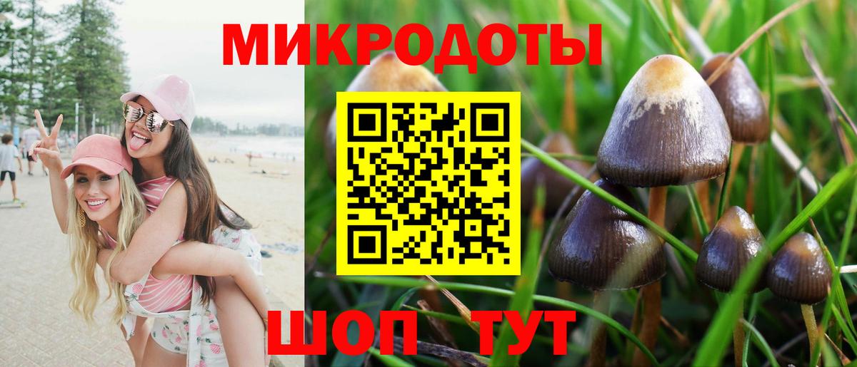 Галлюциногенные грибы MAGIC MUSHROOMS  Вход с VPN  Можга 